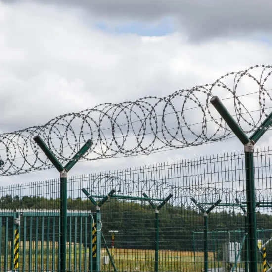 Security Fences